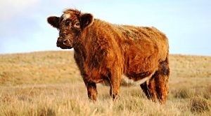 Weekly Roundup (Weekly Roundup, 20th February 2018)