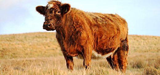 Weekly Roundup, 20th February 2018