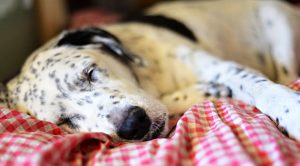 Sector Plays 2 (Sector Plays Update 2 &ndash; February 2018)