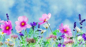 Spring statement 2018 (Spring Statement 2018)