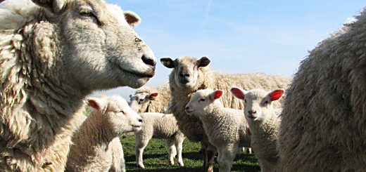 Weekly Roundup, 6th March 2018