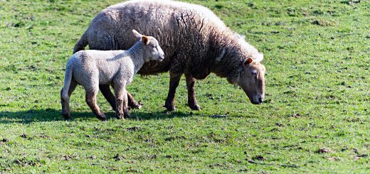 Weekly Roundup, 13th March 2018