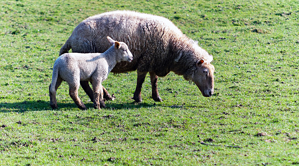 Weekly Roundup, 13th March 2018