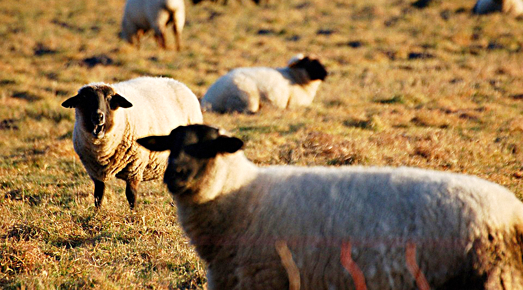 Weekly Roundup, 20th March 2018