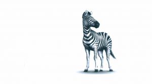 Banner 1 (Attitudes to Risk &ndash; Investec Click & Invest)