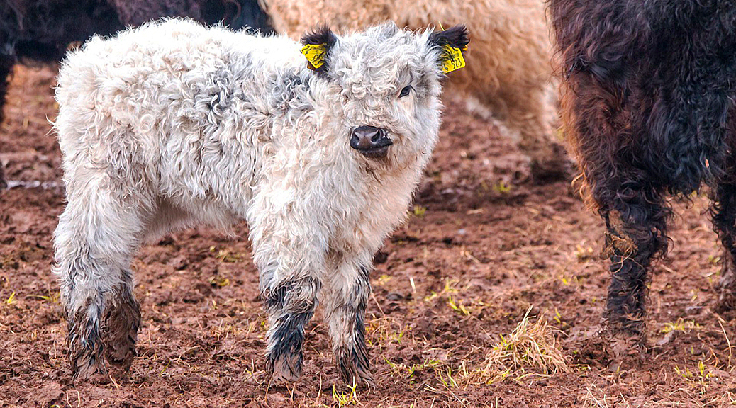 Weekly Roundup, 4th April 2018