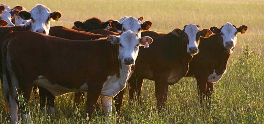 Weekly Roundup, 26th April 2018