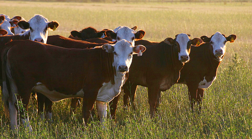 Weekly Roundup, 26th April 2018