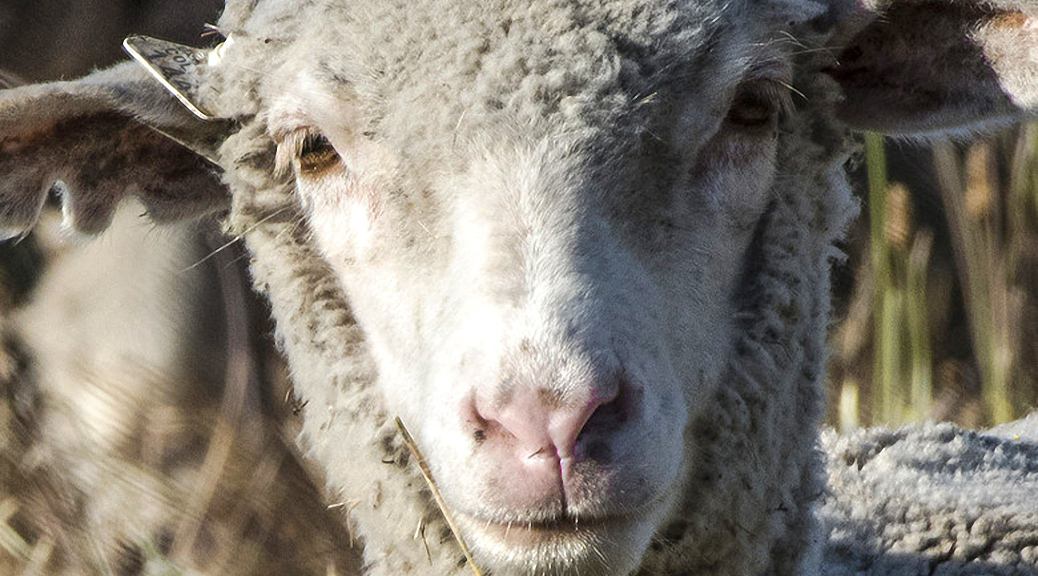 Weekly roundup, 12th June 2018