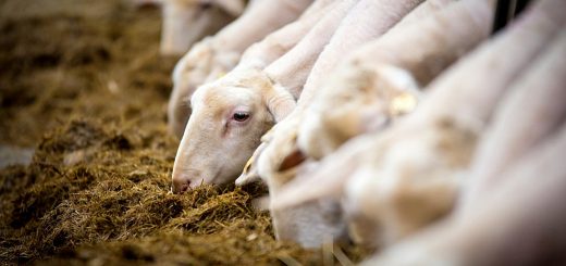 Weekly Roundup, 26th June 2018