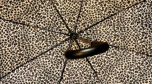 Defensive Dividend Stock Screen (Defensive Dividend Stock Screen)