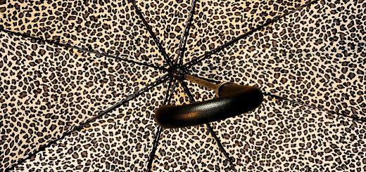 Defensive Dividend Stock Screen