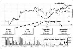 Kenneth Cole (Minervini 5 &ndash; Charts and Primary Bases)