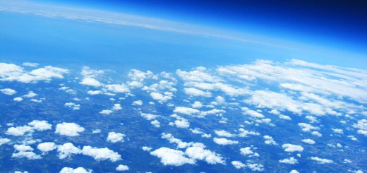 New Highs Stock Screen