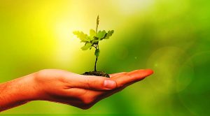 SmallCap Growth 23 (SmallCap Growth Aim Portfolio 23 &ndash; August 2018)