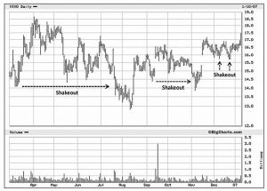 Shakeouts VIVO (Minervini 5 &ndash; Charts and Primary Bases)