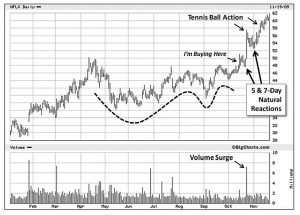 Tennis Ball Netflix (Minervini 5 &ndash; Charts and Primary Bases)