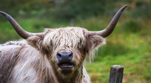 Weekly Roundup 180814 d (Weekly Roundup, 14th August 2018)