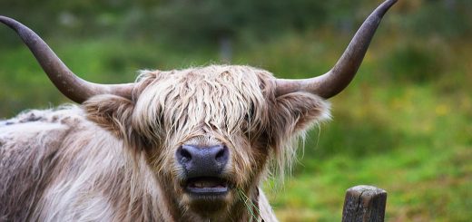 Weekly Roundup, 14th August 2018