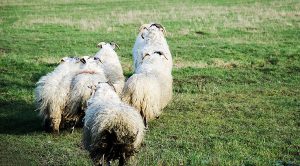 Weekly Roundup 180828 (Weekly Roundup, 28th August 2018)