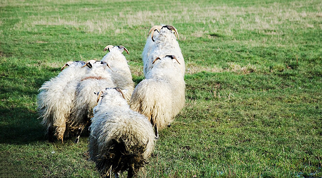 Weekly Roundup 180828