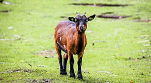 Weekly Roundup 181002 (Weekly Roundup, 2nd October 2018)