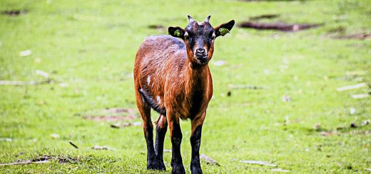 Weekly Roundup 181002