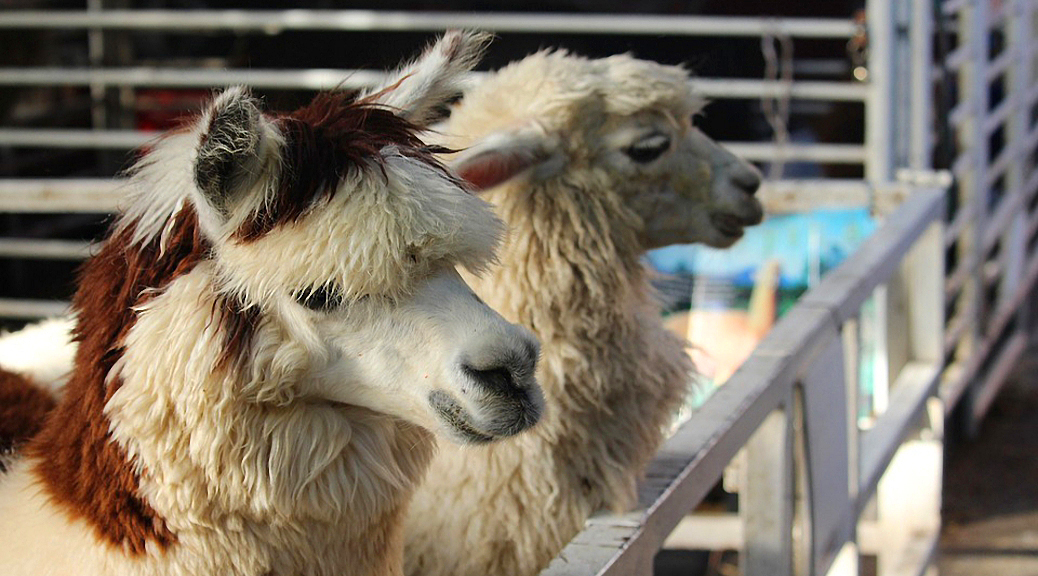 Weekly roundup 180904