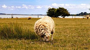 Weekly Roundup 181016 (Weekly Roundup, 16th October 2018)