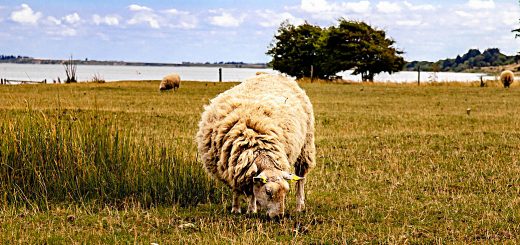 Weekly Roundup 181016