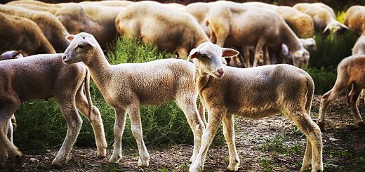 Weekly Roundup 181030