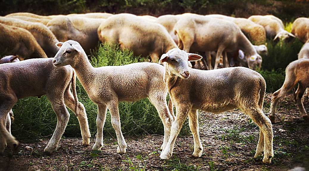 Weekly Roundup 181030