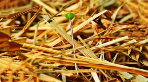 Stock returns wide (Stock Returns &ndash; The Bessembinder Report)