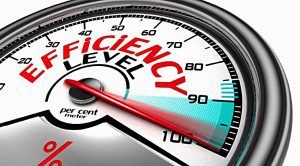 Owen &ndash; Efficiency and Opportunism (Owen &ndash; Efficiency and Opportunism)