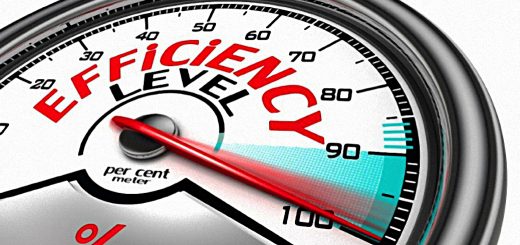 Owen - Efficiency and Opportunism