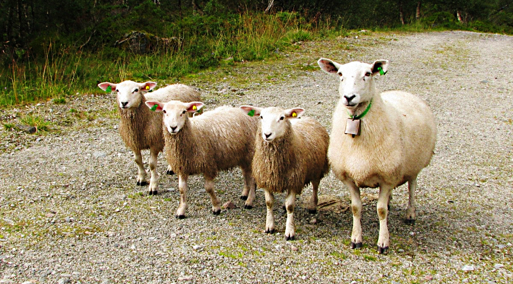 Weekly Roundup 181204