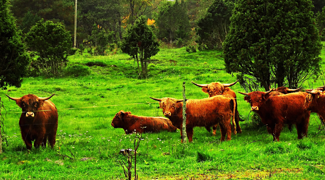 Weekly Roundup 181211