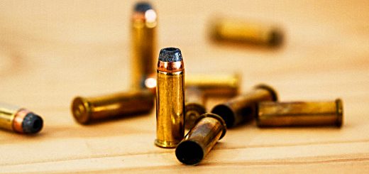 Annual Portfolio Review 2018