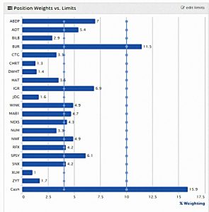 SGAP 190118 position weights (SmallCap Growth Aim Portfolio 25 &ndash; January 2019)