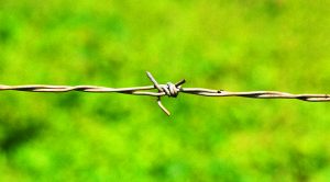 Sharpe Ratio (Sharpe Ratio)