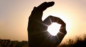 The Perfect Portfolio (The Perfect Portfolio 1 &ndash; Allocation and Funds)