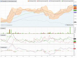 Chart-focusrite-190207 (AIM IHT Portfolio Update 20 &ndash; January 2019)