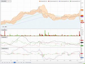 PLUS 190214 (Piggyback Portfolio 19 &ndash; February 2019)