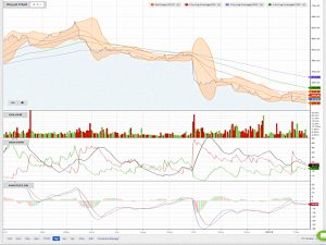RMG 190214 (Piggyback Portfolio 19 &ndash; February 2019)