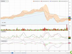 VCT 190214 (Piggyback Portfolio 19 &ndash; February 2019)
