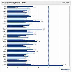 AIM IHT 190301 position weights (AIM IHT Portfolio Update 21 &ndash; February 2019)