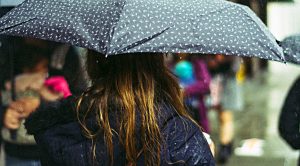 Defensive Portfolio 4 March 2019 (Defensive Portfolio 4 &ndash; March 2019)