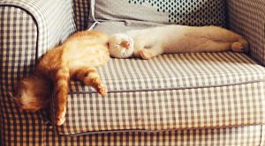 Lazy Portfolios 1 (Lazy Portfolios &ndash; A Framework)