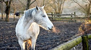 Weekly Roundup 190312 (Weekly Roundup, 12th March 2019)