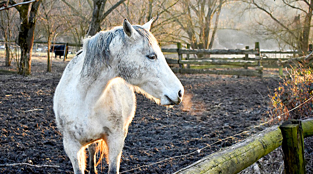 Weekly Roundup 190312